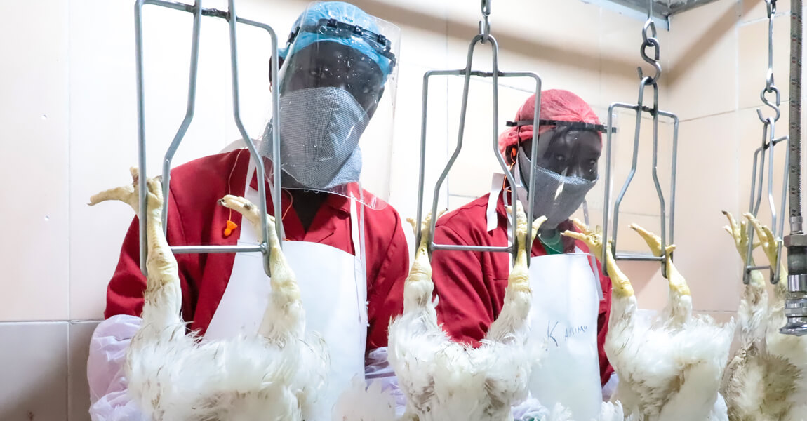 02-workers-in-poultry-abattoir